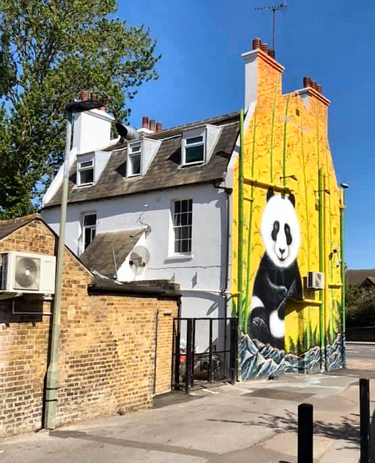 Crown of Bromley 2020