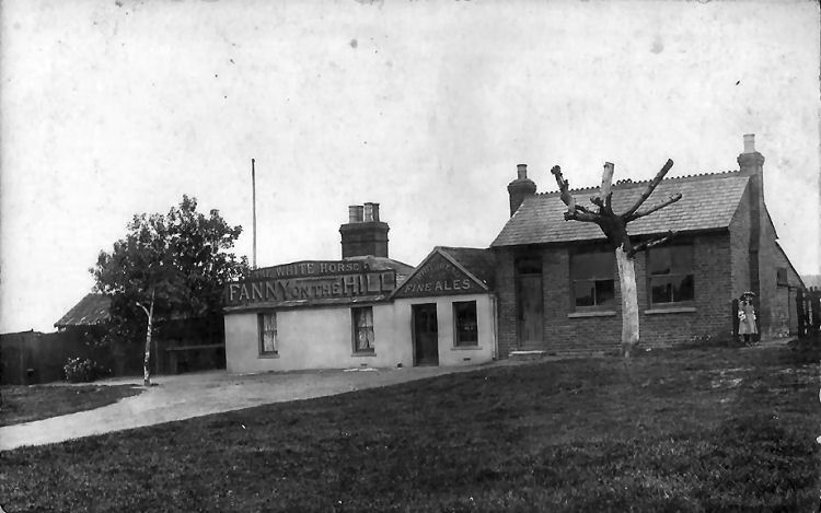 Fanny on the Hill 1906