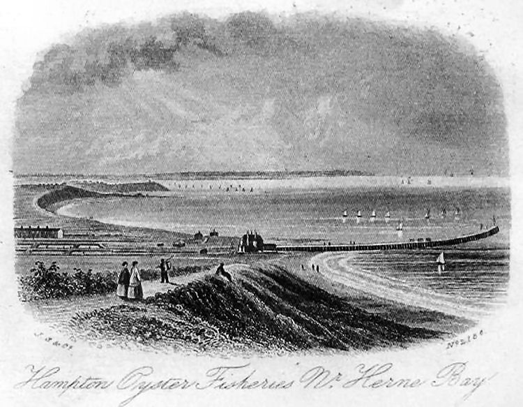 Hampton Oyster Fisheries