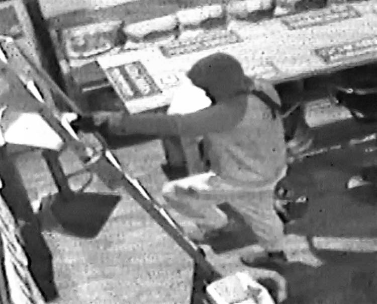 Handsome Sam burglar 2019