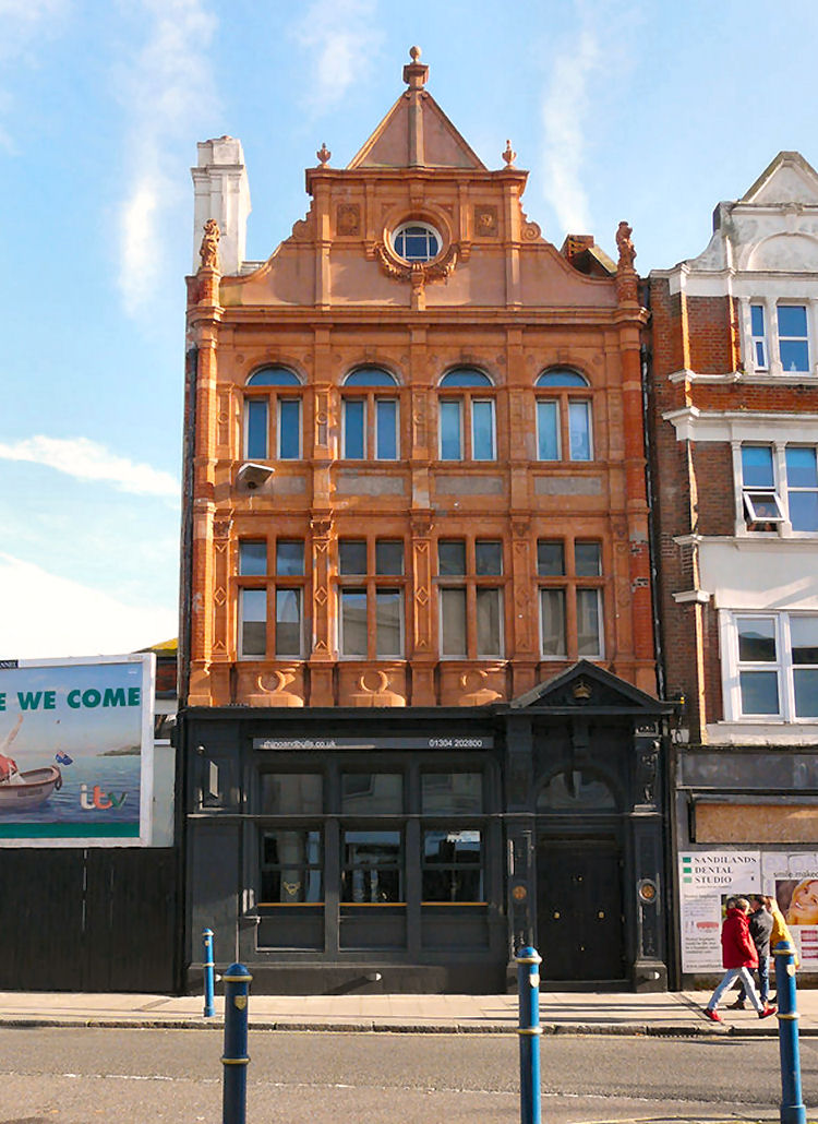 Rhino and Bull's 2019