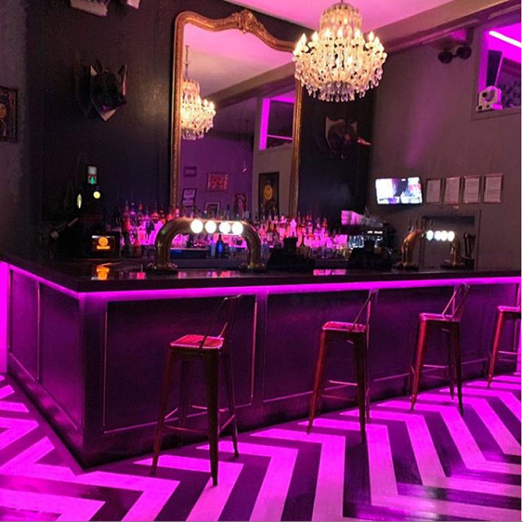 Rhino and Bull's bar 2019