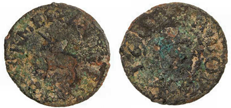 Skoch Arms coin