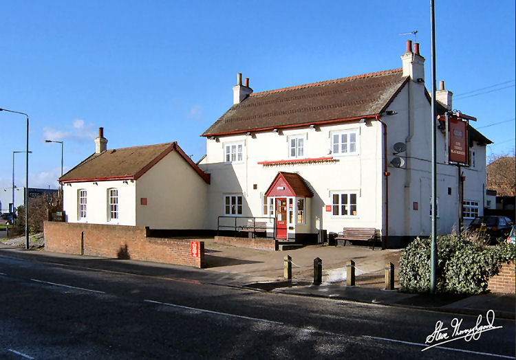 Three Blackbirds 2007