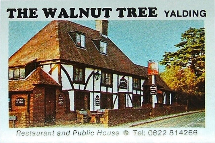 Walnut Tree 1989