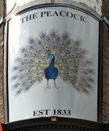 Peacock sign 2020