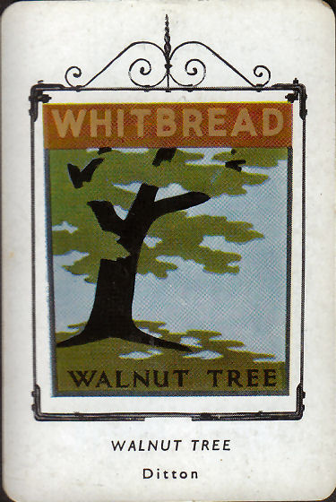 Walnut Tree card