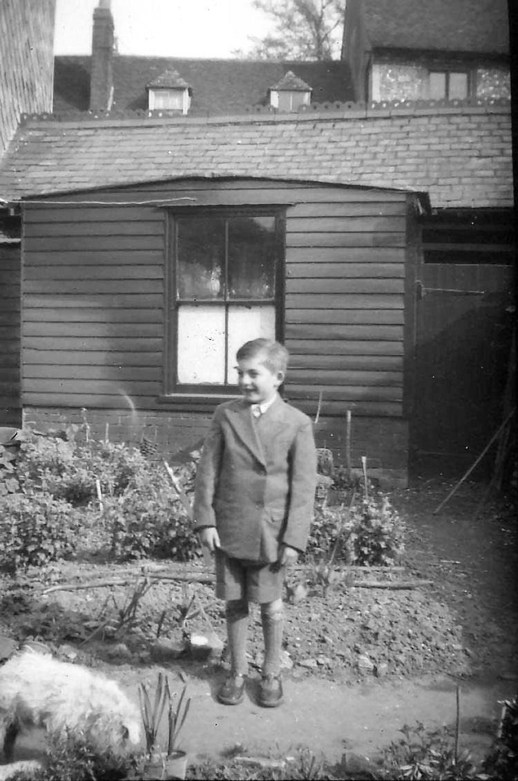 21 Palace Street garden