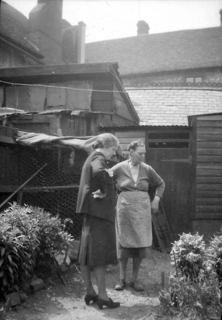 21 Palace Street garden