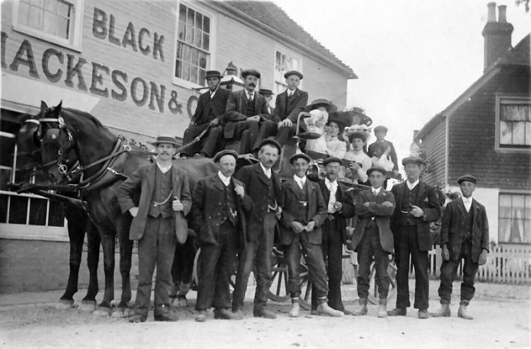 Black Bull 1908