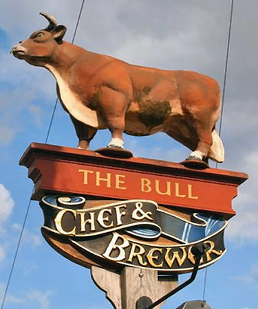 Bull sign 2007
