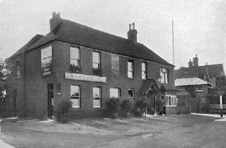 Tiger's Head 1934