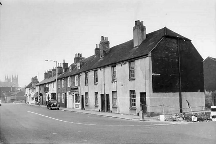 Yew Tree 1961