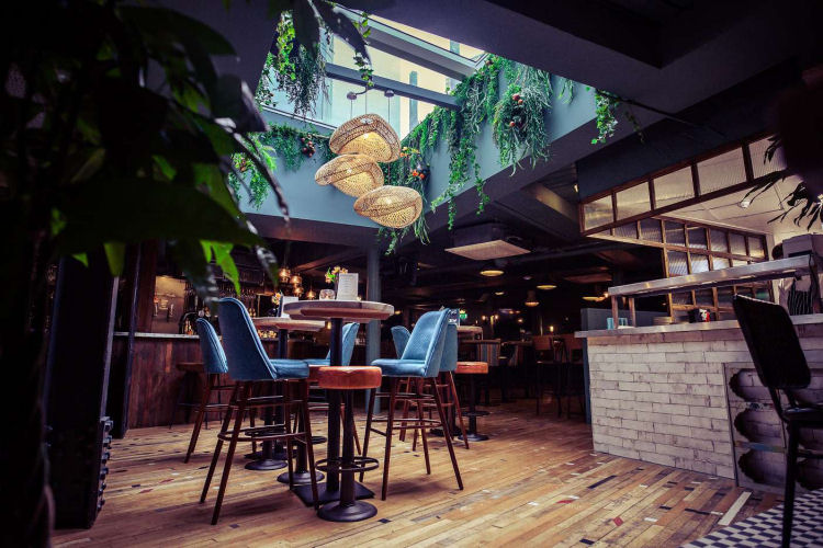 Artful Duke inside 2021