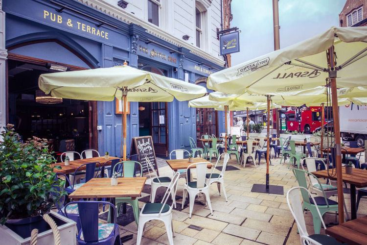 Artful Duke outside 2021