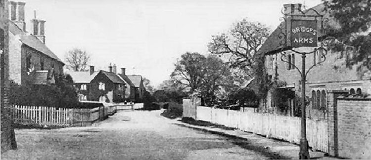 Bridges Arms 1896