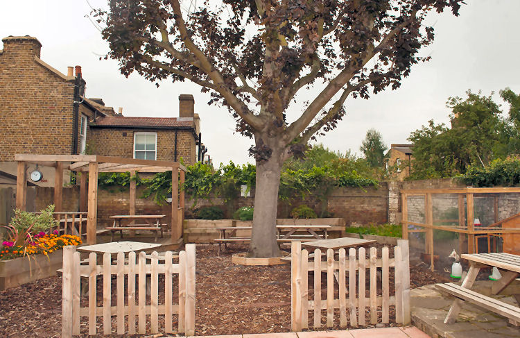 British Oak garden 2020