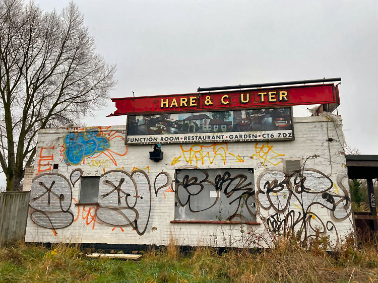 Share and Coulter 2021