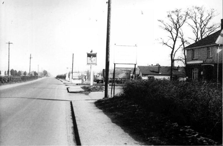 Shrew Beshrewed 1963