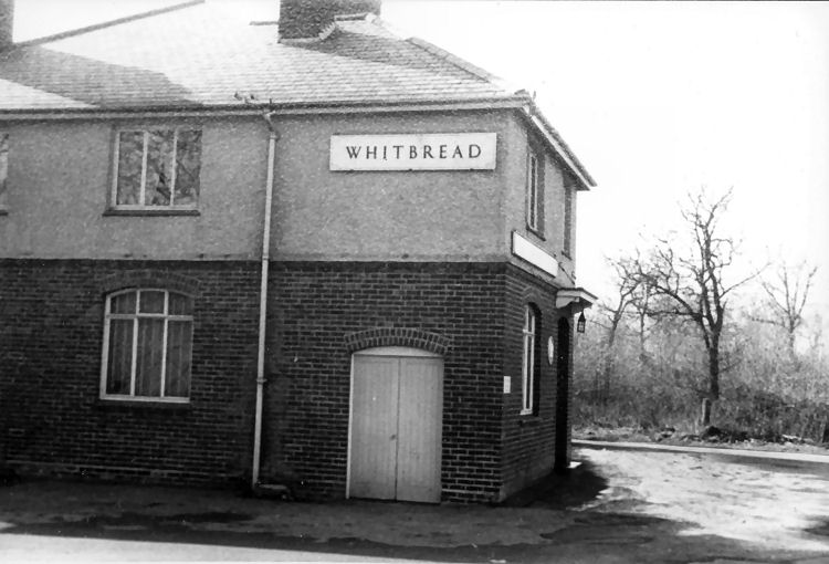 Shrew Beshrewed 1963