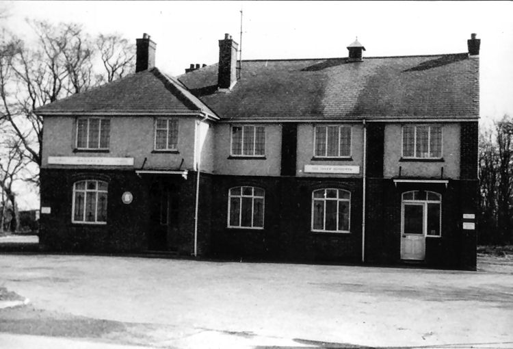 Shrew Beshrewed 1963