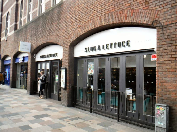 Slug and Lettuse pre 2019