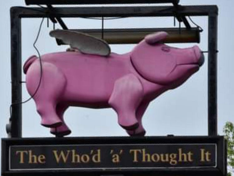 Whod-a-thought-it-sign-2019-Plumstead