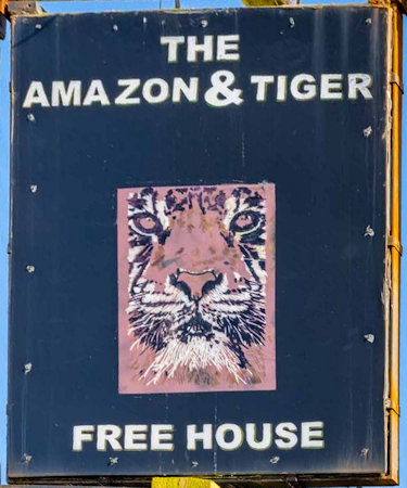 Amazon and Tiger sign 2023