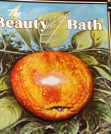 Beauty of Bath sign 1994