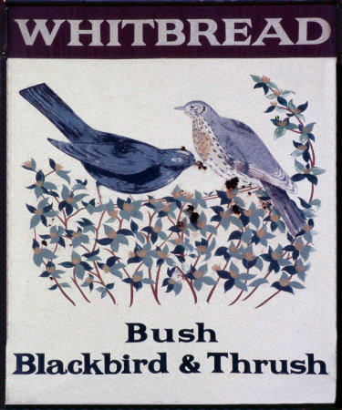 Bush Blackbird and Thrush sign
