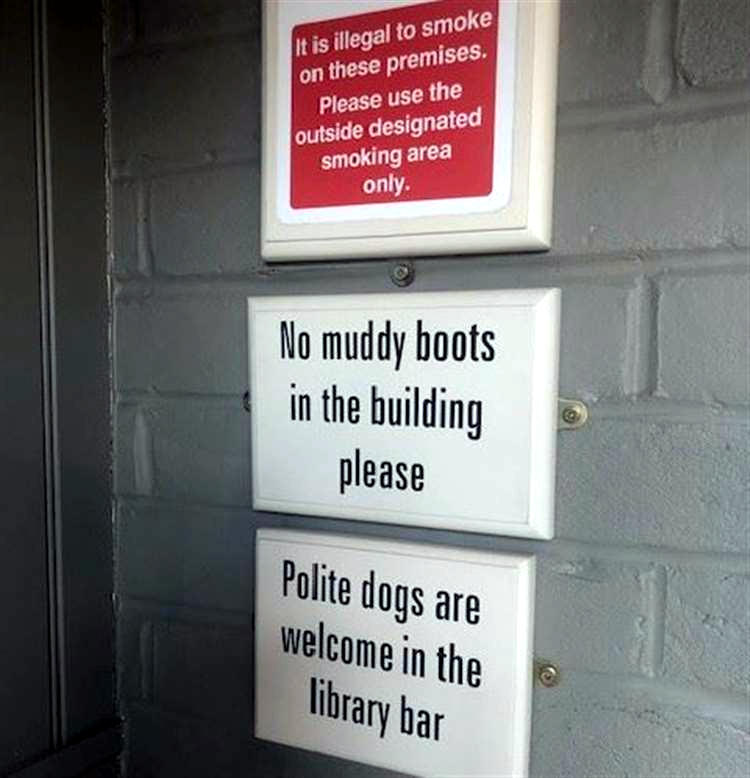 Kentish Hare signs 2023