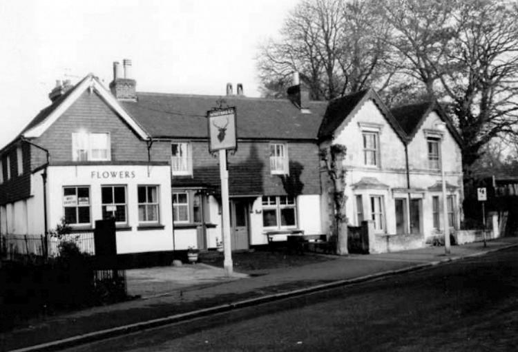 STag's Head 1967