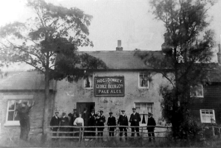 Hog and Donkey 1900