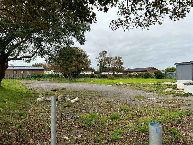 Lighthouse garden 2023