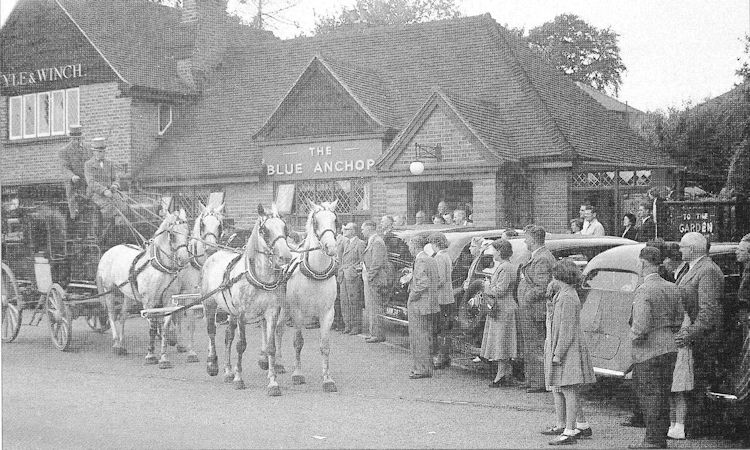 Blue Anchor 1951