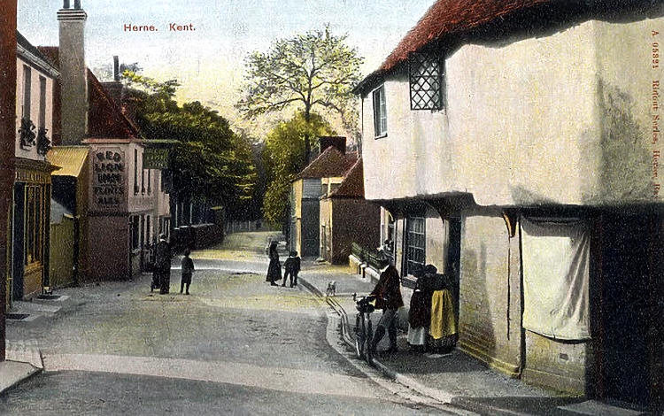 Lower Red Lion 1908