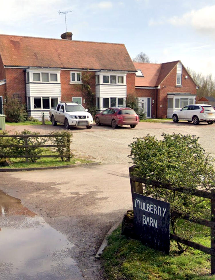 Former Mulberry Tree 2024