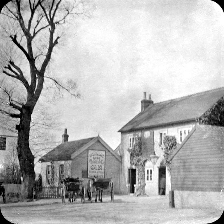 Three Blackbirds 1897