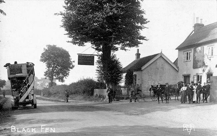 Three Blackbirds 1920