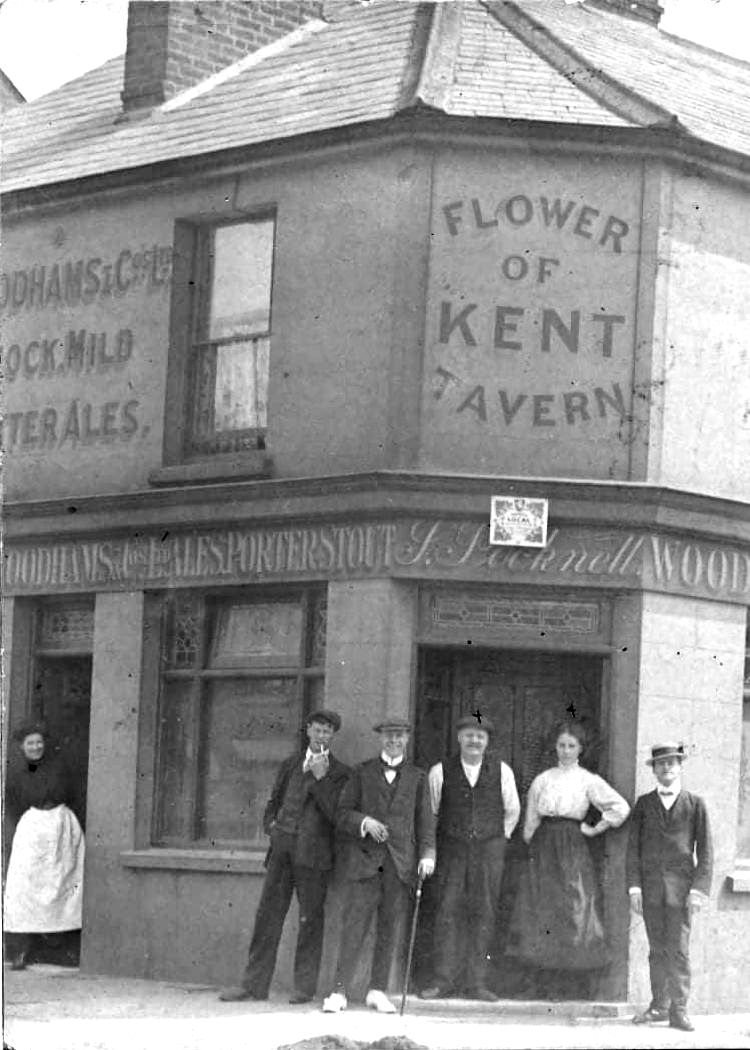 Flower of Kent 1895