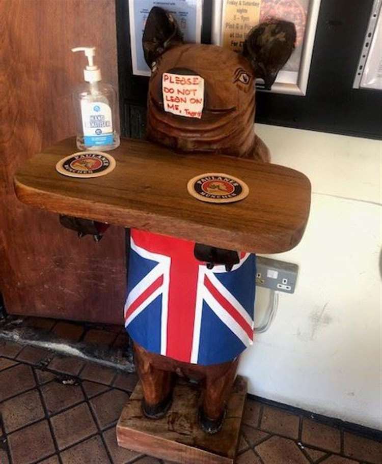 Thirsty Pig pig 2024