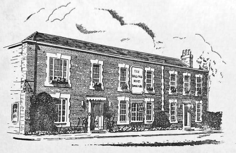 Bull's Head engraving