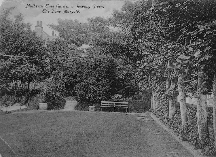 Mulberry Tree garden 1911