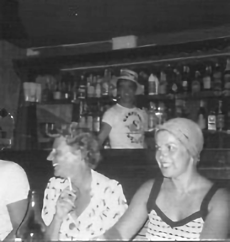 Greyhound customers 1978