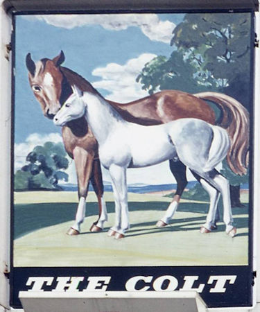 Colt sign 1975