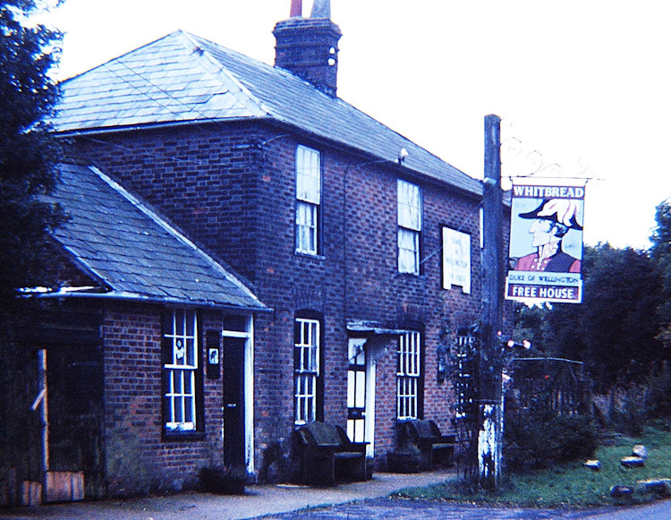 Duke of Wellington 1986