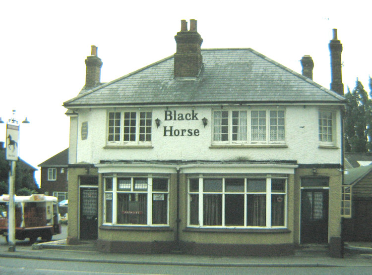 Black Horse 1982