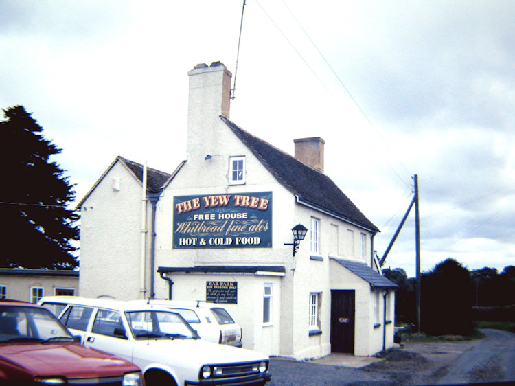 Yew Tree 1986