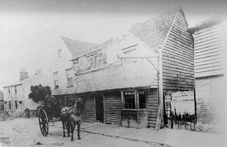 Black Bull 1880