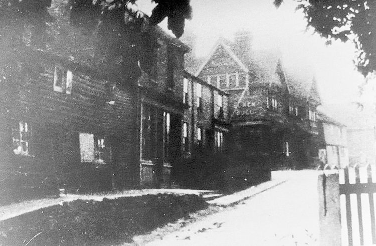 Black Bull 1914